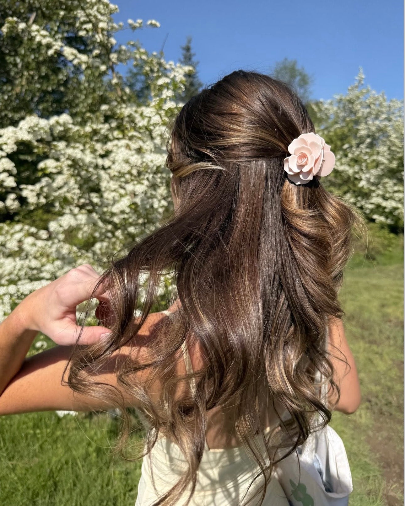 The Rose Clip